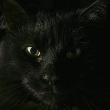 Оригинал схемы вышивки «Черный кот» (№135752)