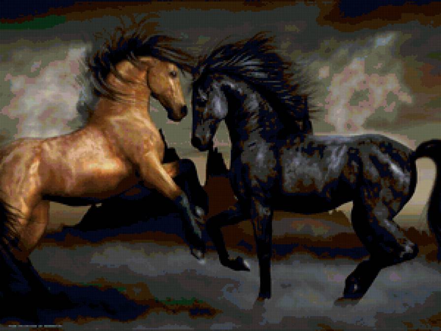 №135755 - лошади, кони, двое - предпросмотр