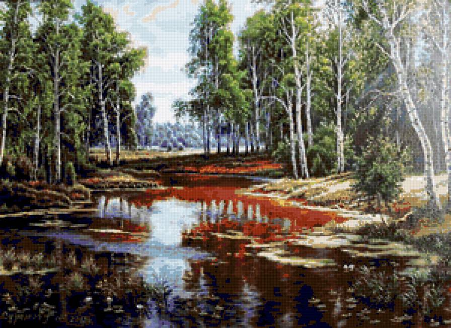 Берёзовая роща - лето, природа, красота, березки, озеро, лес, березка, пейзаж - предпросмотр