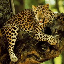 Схема вышивки «№135839»