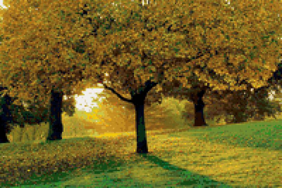 Парк - предпросмотр