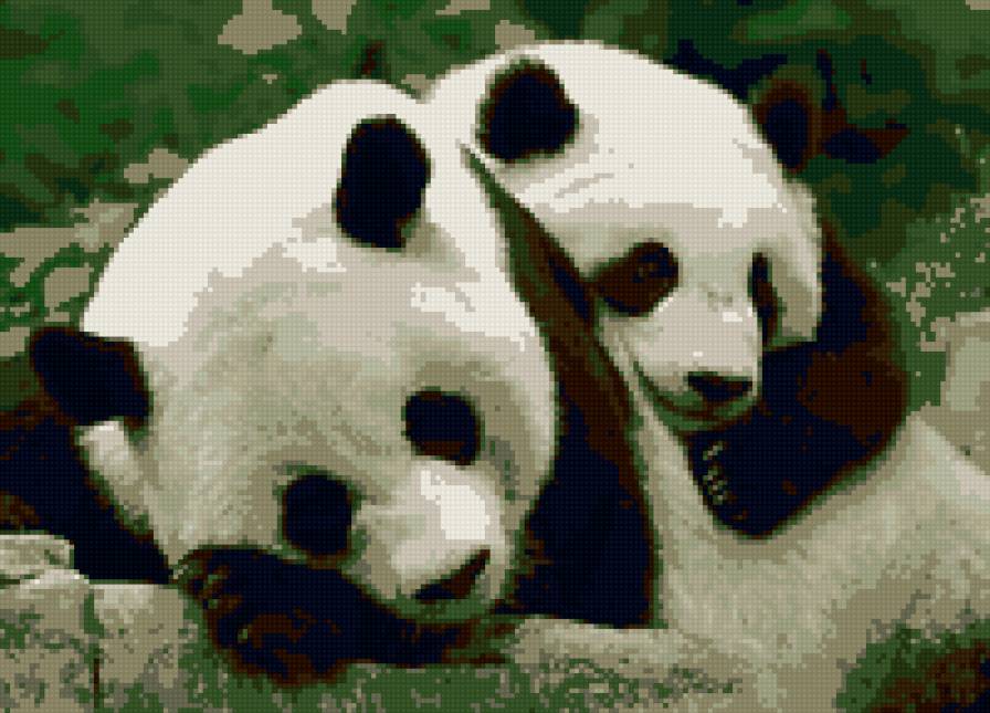 Панды - предпросмотр