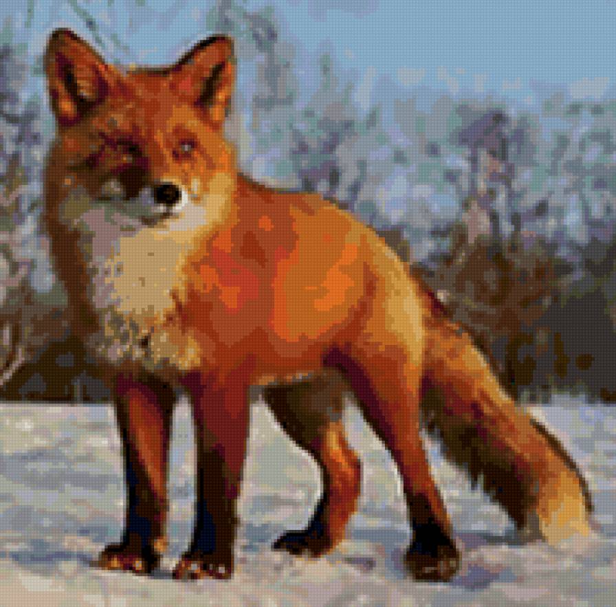 Лиса - лиса, животные - предпросмотр