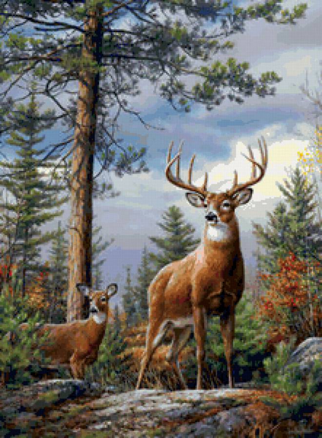 №136298 - предпросмотр