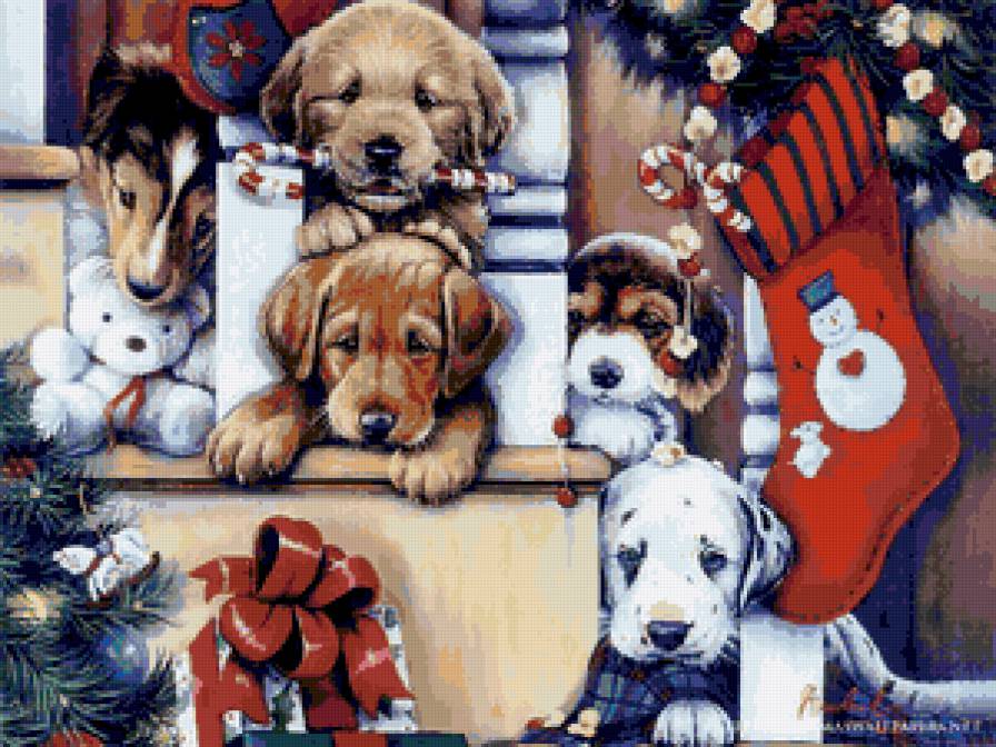 Новогодниё собачки - зверушки, щенки, рождество, собаки, новый год, животные, собака - предпросмотр
