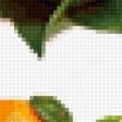 Предпросмотр схемы вышивки «Коллаж из апельсинов» (№136506)
