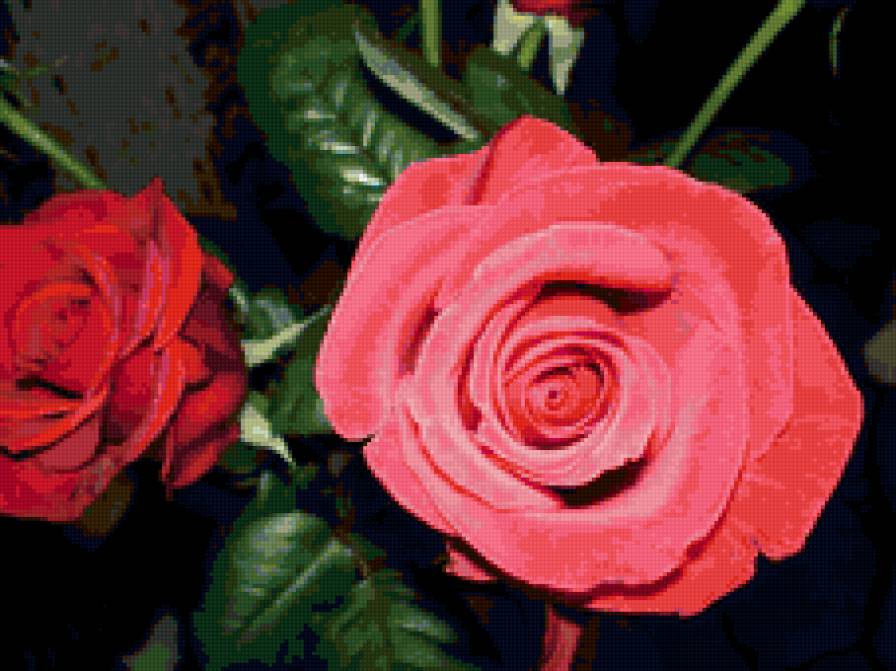 Ах, эти розы - роза, букет, цветы, праздник - предпросмотр