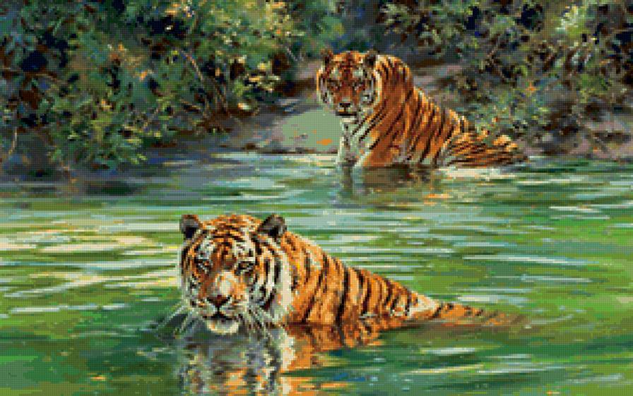 Тигры - животные, тигры, кошки - предпросмотр