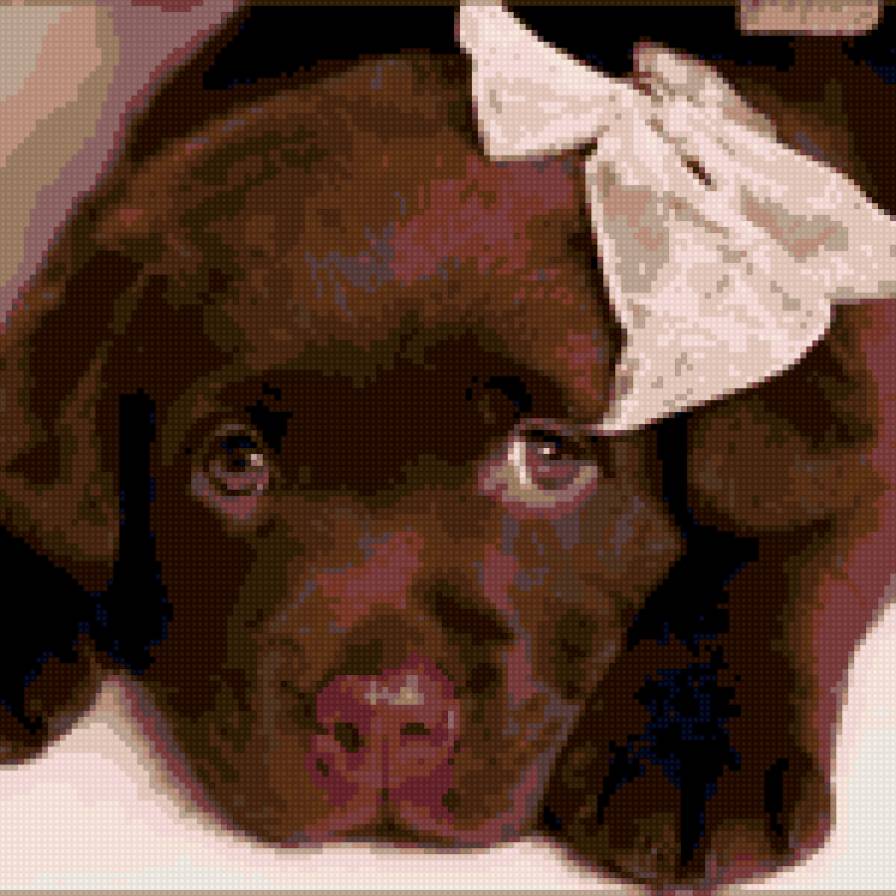 "Грустный щенок" - животные, щенок, собаки - предпросмотр