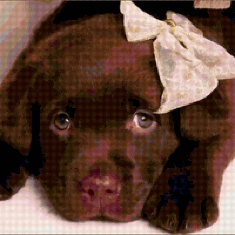 "Грустный щенок" - животные, собаки, щенок - предпросмотр