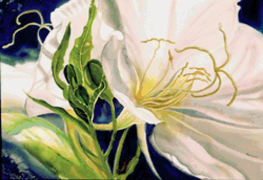 цветы - цветы - предпросмотр