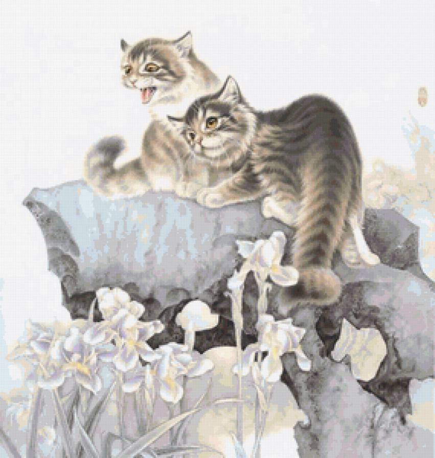 кошки - предпросмотр