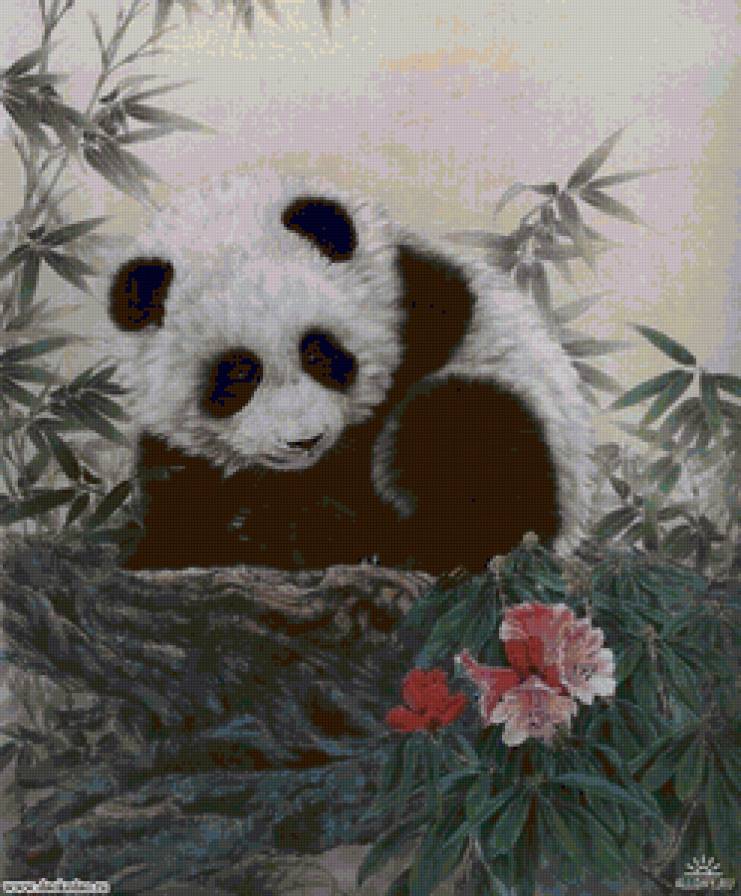 панда - предпросмотр