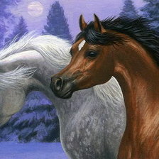 Схема вышивки «№137049»