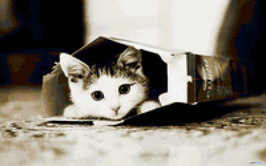 Прятки - предпросмотр