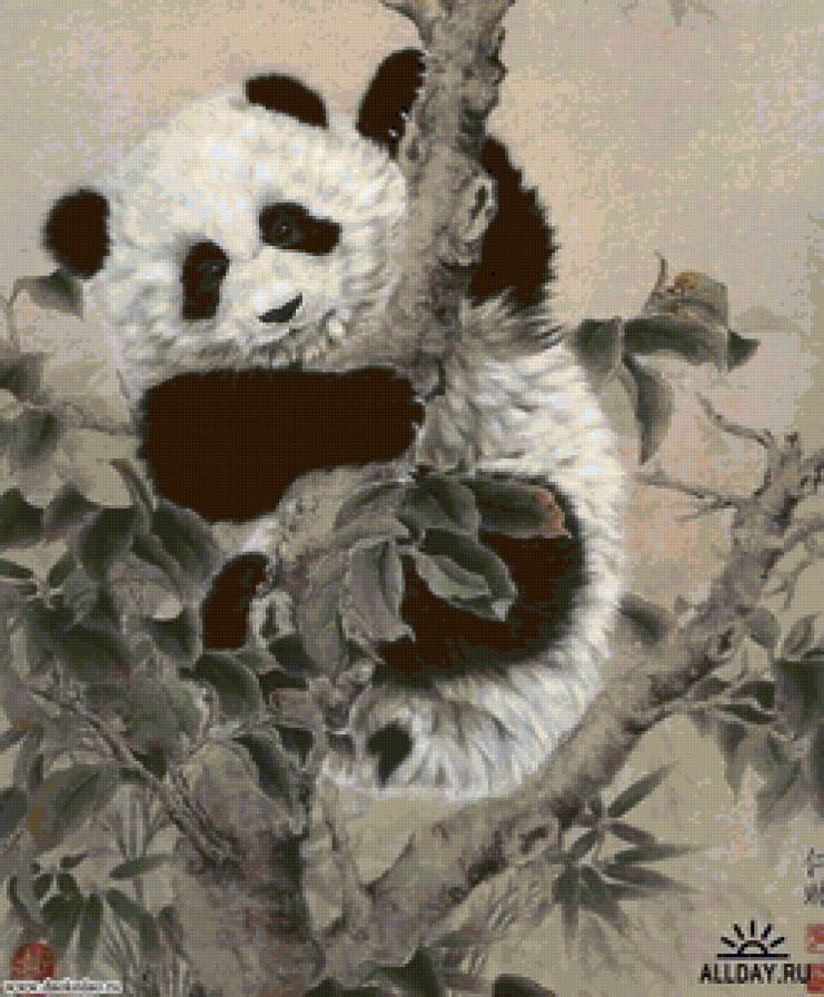 панда - предпросмотр