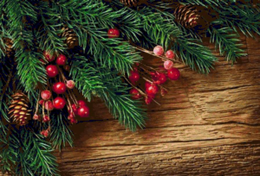 ветки ели - предпросмотр