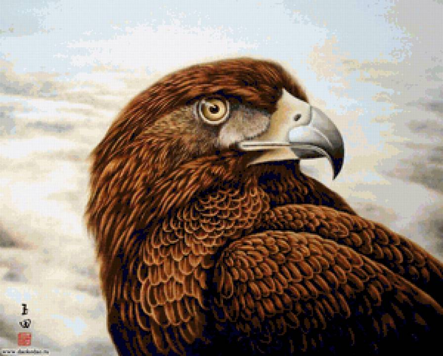 птичка - предпросмотр