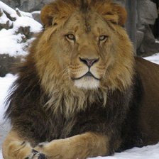 Схема вышивки «№137237»