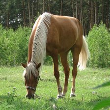 Схема вышивки «№137300»