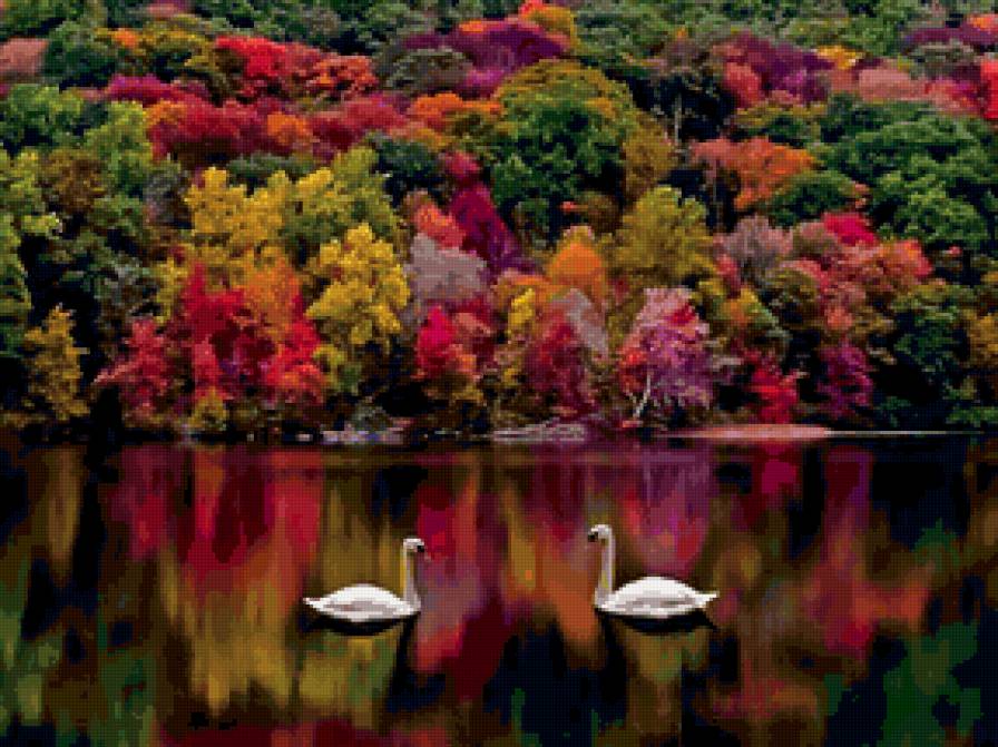 Сказка - сказка, лебеди, озеро, осень, лес - предпросмотр