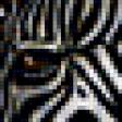 Предпросмотр схемы вышивки «Зебры» (№137343)