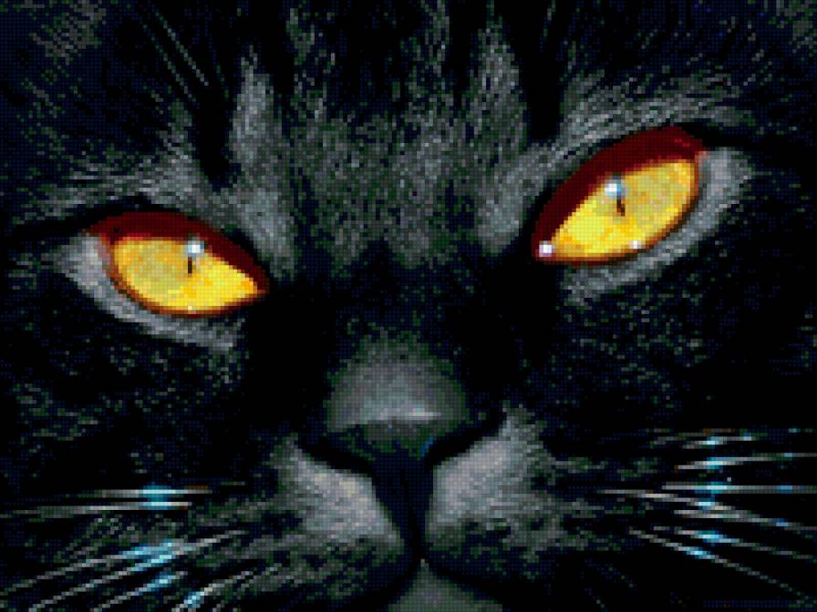 №137404 - киса, котик - предпросмотр