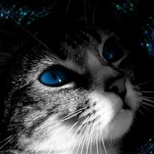 Схема вышивки «№137414»