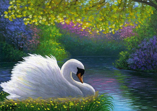 лебедь - озеро, лебедь, птицы, весна, лебеди, цветы, яблони, грация - оригинал