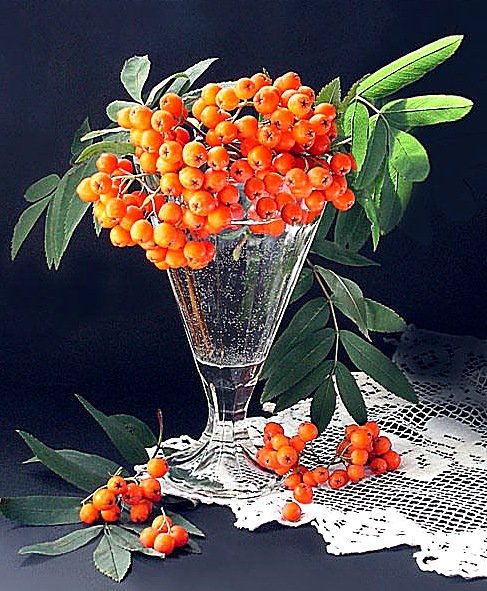 Рябина - рябина, ягоды, букет - оригинал