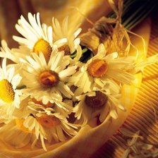 Схема вышивки «Ромашки»