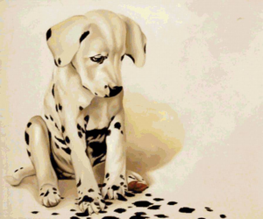 долматинец - собака - предпросмотр