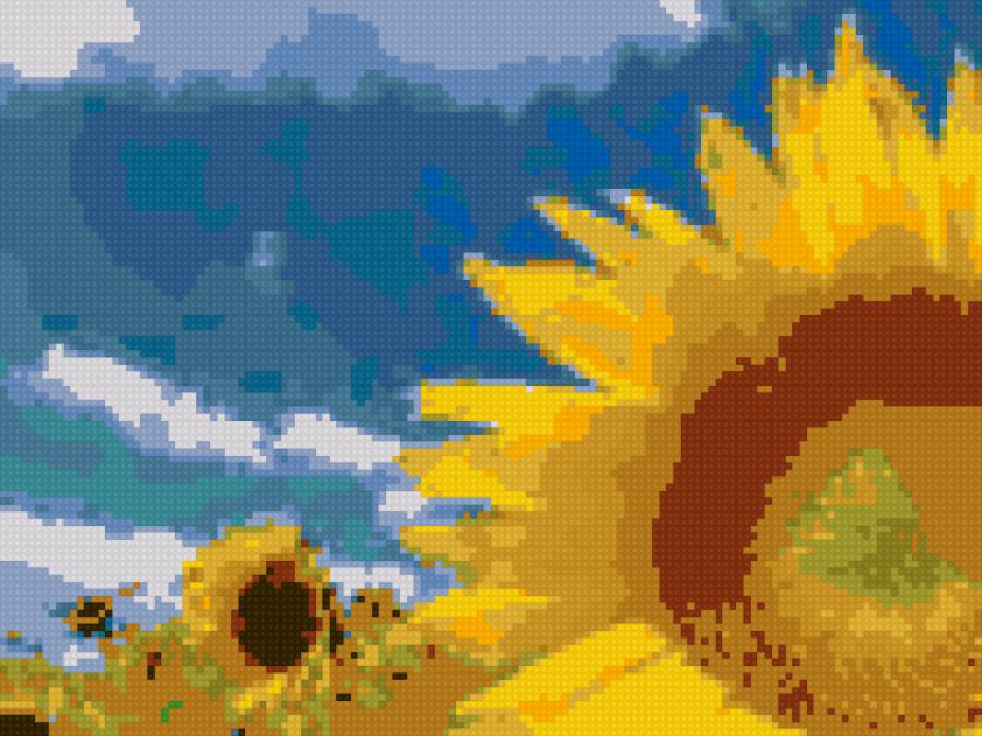 подсолнух - предпросмотр