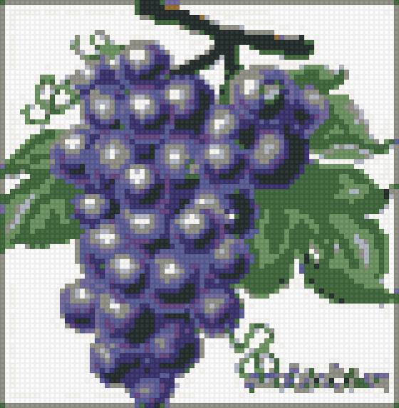 виноград - предпросмотр