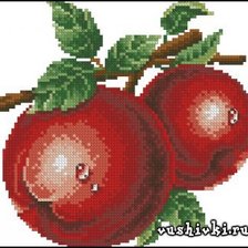 Оригинал схемы вышивки «яблоки» (№137816)