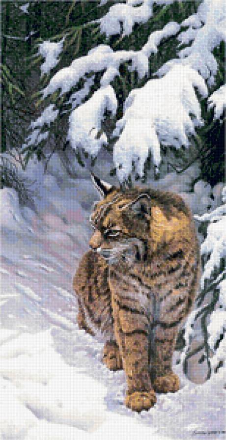 Большие кошки - кот, зима, снег - предпросмотр