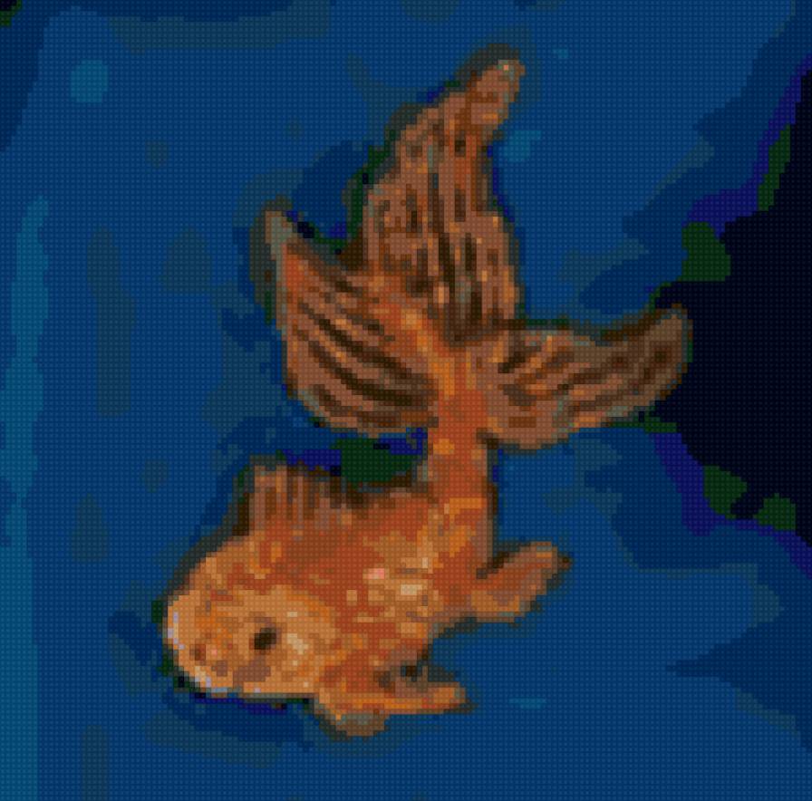 золтая рибка - предпросмотр