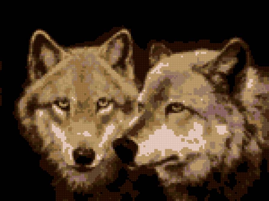 волки - предпросмотр