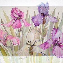 Схема вышивки «Цветы»