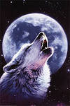 волк - волк, луна, хищник - оригинал