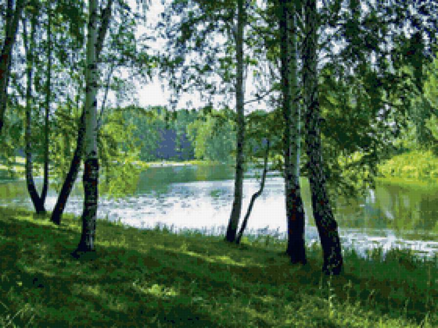 Березы у реки - пейзаж, природа, лето, лес, река - предпросмотр