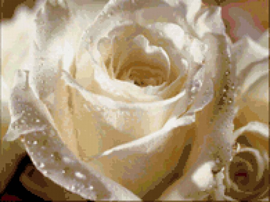 Розочка - предпросмотр