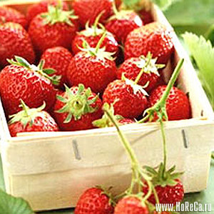 клубничка - оригинал