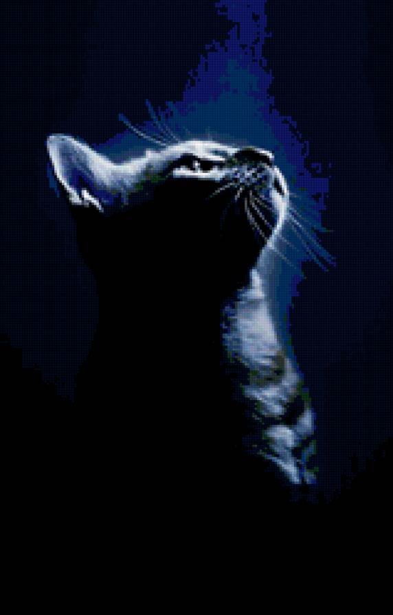 №138050 - котик, киса - предпросмотр