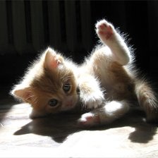 Схема вышивки «№138055»