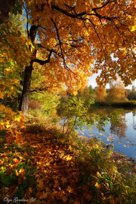 №138247 - озеро, осень, природа, картина - оригинал
