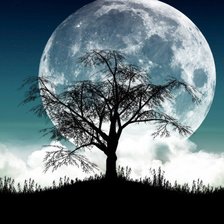 Полнолуние