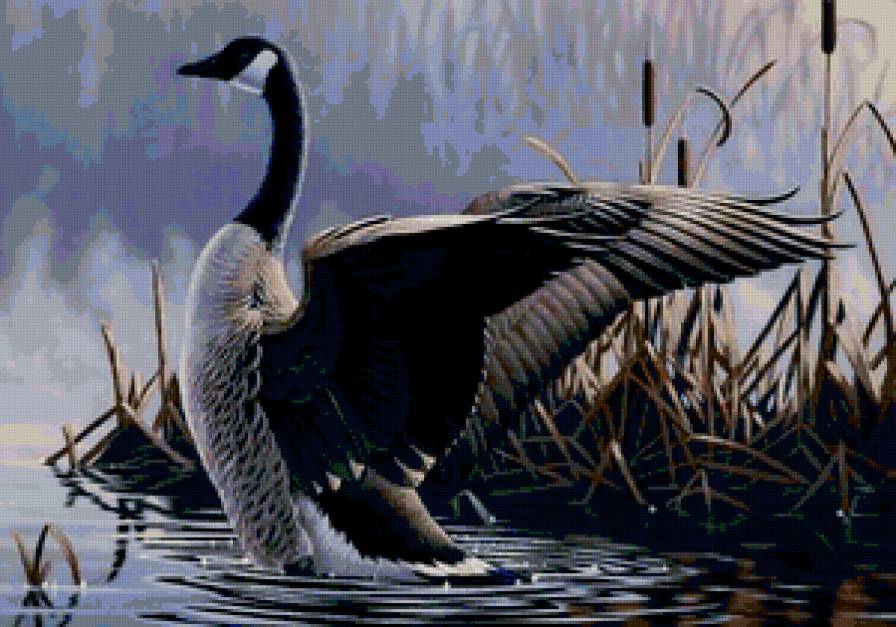 №138520 - предпросмотр