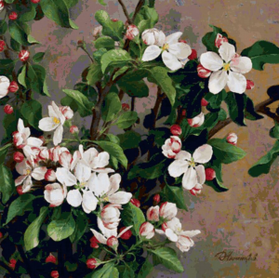 Яблони в цвету - цветы, букет - предпросмотр