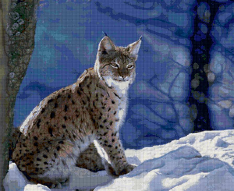 дикая кошечка - рысь - предпросмотр